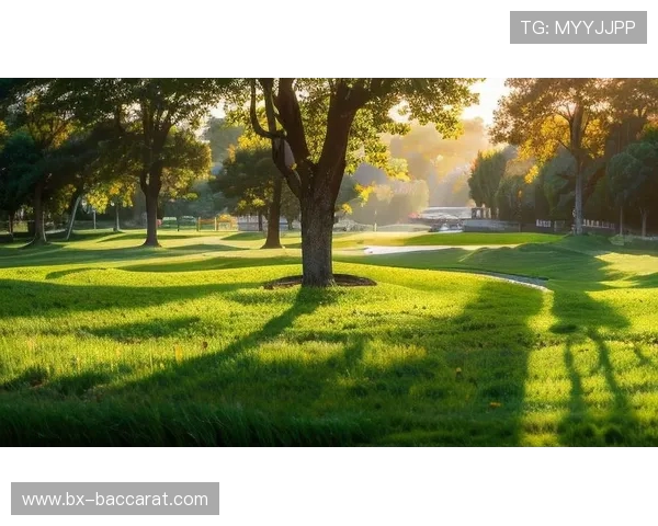 刚刚打完游戏出来晒太阳的对面视角,感受阳光与虚拟世界的完美切换